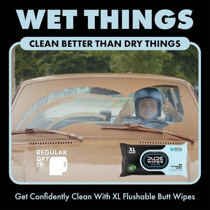 Wipes Fragrance Free Hemorrhoid Flushable Wipes - 3 Pack (144 Count) - Extra-Large, Medicated with Witch Hazel for Soothing Relief - Septic and Sewer Safe