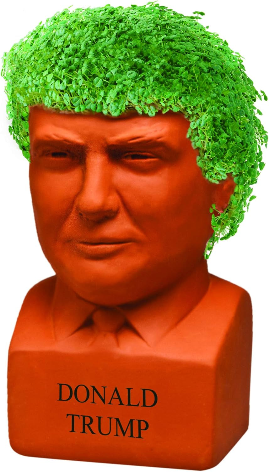 Pet Donald Trump with  Seed Pack - Freedom of Choice - Decorative Presidential Pottery Planter, Easy to Do and Fun to Grow, Novelty Gift, Terra Cotta